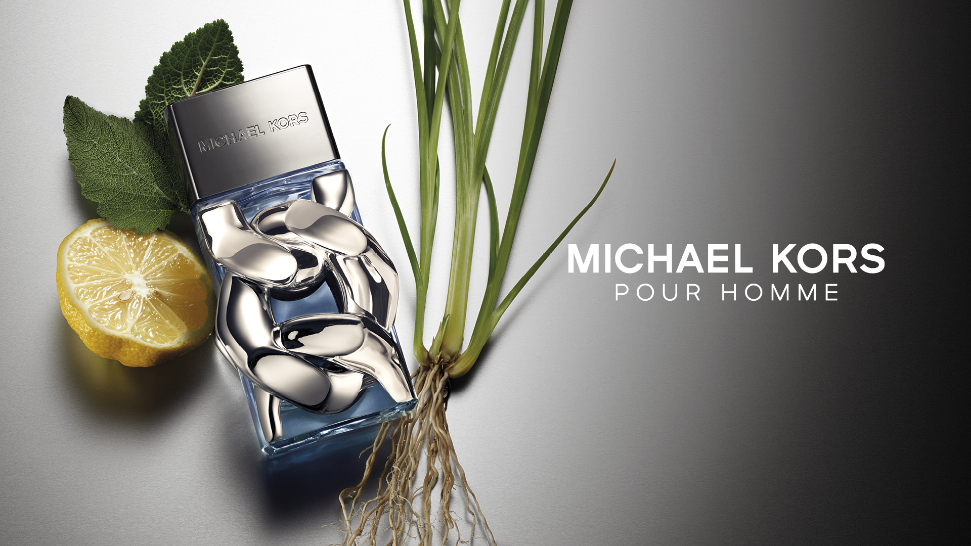 Michael Kors pour homme ingredient image